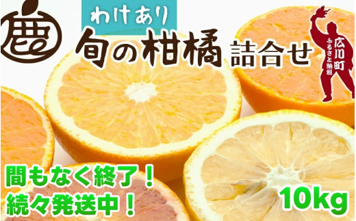 柑橘 詰合せ 10kg+300g 訳あり 光センサー / みかん 不知火 清見 八朔 伊予間 セミノール レモン ３種類以上 詰め合わせ 晩柑 ※1月上旬〜7月中旬に順次発送 ※北海道・沖縄・離島への配送不可【ikd049-c-10】