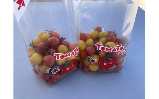 【5月発送】長浜農業高校 ミニトマト 800g