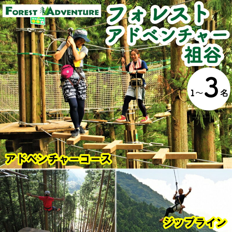 【ふるさと納税】 徳島県 旅行 クーポン 体験チケット 旅行券 感謝券 ジップライン アクティビティ 遊ぶ 体験 三好市 みよし 観光 チケット クーポン 夏休み 自然 アスレチック 子供 家族連れ 商品券 施設利用券 フォレストアドベンチャー祖谷 アドベンチャーコース 1～3名