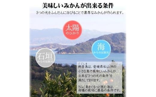 【2025年11月下旬頃より順次発送】興居島みかん 約6kg（L〜Sサイズ） 愛媛 みかん 柑橘 興居島 ごごしま ブランド  みかん 蜜柑 柑橘  フルーツ 愛媛県 松山市