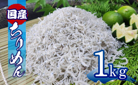 ちりめん 1kg (200g × 5袋) 冷蔵 国産 ちりめん