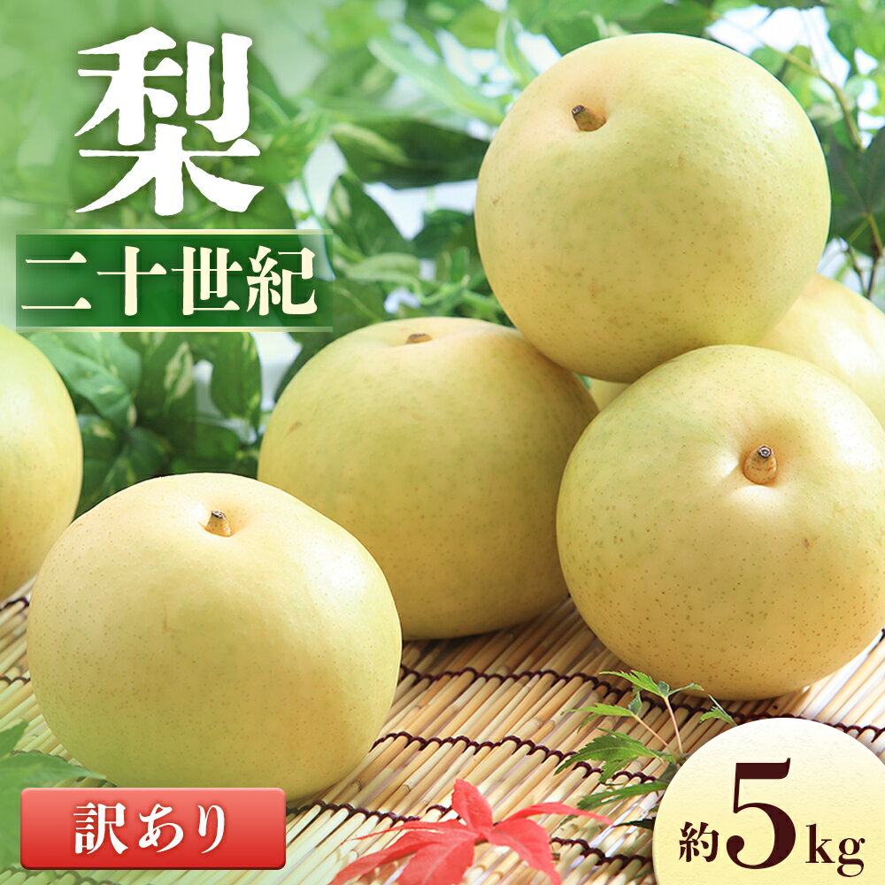 【ふるさと納税】＜先行予約＞梨 二十世紀※訳あり品※ 約5kg[8〜16玉]　※2026年9月中旬〜9月下旬発送※