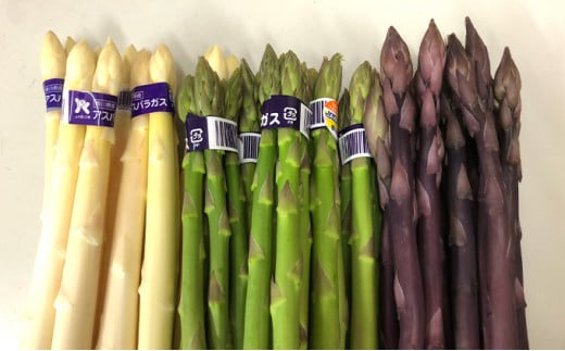 アスパラガス 3種 セット 丸亀産 アスパラ ホワイト グリーン パープル 野菜 旬 旬の野菜 季節の野菜 産地直送 丸亀 香川 冷蔵 冷蔵配送 ホワイトアスパラガス グリーンアスパラガス 紫アスパラガス 疲労回復 免疫力向上 食物繊維 ビタミンC 柔らかい 甘い クリーミー 幻 料理 おかず アスパラベーコン巻き 炒め フライ ポタージュ ふるさと納税アスパラ ふるさと納税野菜 香川県 丸亀市