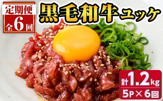 
            s707 ＜定期便・全6回(連続月)＞鹿児島県産黒毛和牛ユッケ(計1.2kg・40g×5パック×6回) 鹿児島 国産牛 九州産 牛肉 黒牛 生食用 小分け 冷凍 ユッケ 黒毛和牛 牛 【カミチク】
          