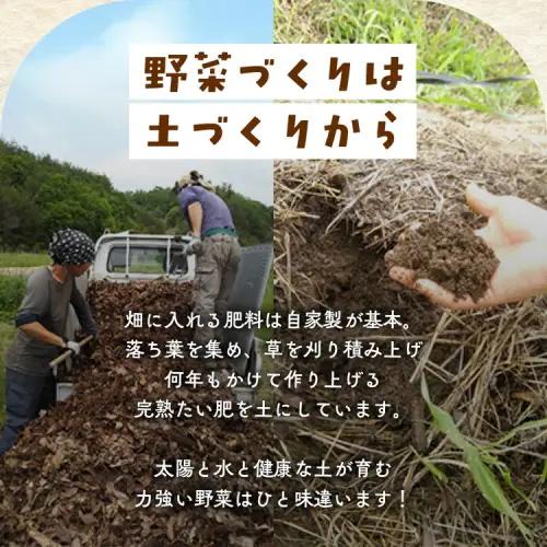 【6回定期便】＜アスカ有機農園＞旬の京野菜セットＳ 野菜 
