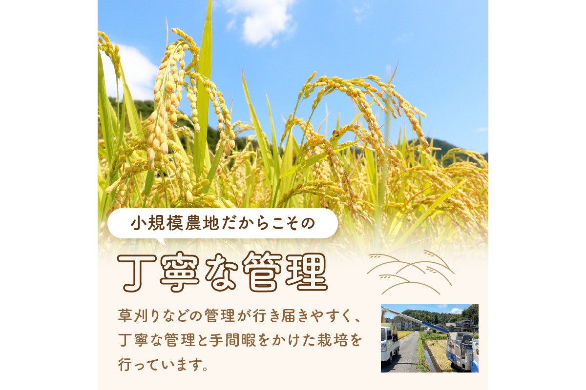 丹後弥栄産コシヒカリ（玄米10kg）　NF00004