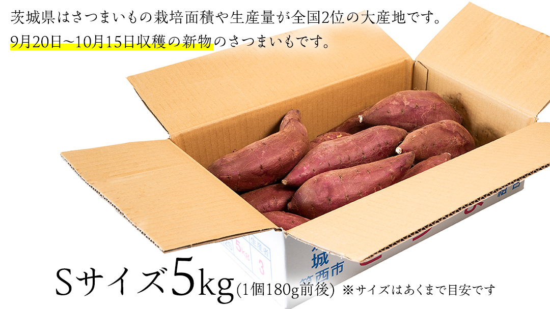 【 塚田商店 】 井上さつま 「 シルクスイート 」 5kg ( Sサイズ ) 新物 ブランド芋 茨城県産 筑西市産 さつまいも サツマイモ いも 芋 イモ [BD039ci]