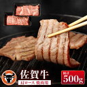 【ふるさと納税】 佐賀牛 肩ロース 焼肉用 計500g（250g×2p） 佐賀県産 黒毛和牛 牛肉 牛 佐賀県嬉野市/一ノ瀬畜産 [NAC028]