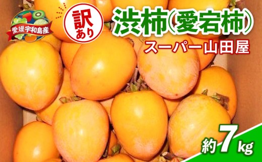 訳あり 渋柿 愛宕柿 約 7kg スーパー山田屋 先行予約 不揃い kaki かき あたごがき カキ フルーツ 果物 くだもの 訳アリ 訳有り わけあり ご家庭用 規格外 秋の味覚 新鮮 旬 産地直送 数量限定 国産 愛媛 愛媛県 宇和島 F010-198013