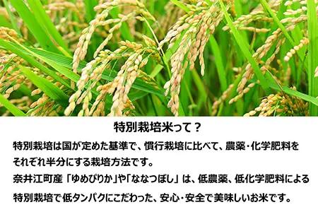 【定期便12回】北海道奈井江町　特別栽培米　ゆめぴりか　5kg