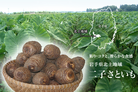 平留商店こだわりの 野菜セット（小）野菜６～７品 岩手県産 旬の野菜 季節の野菜 葉物  根菜 きのこ 春野菜 夏野菜 秋野菜 冬野菜 新鮮 物価高騰 家庭 応援 北上市 平留商店 フレッシュフィール