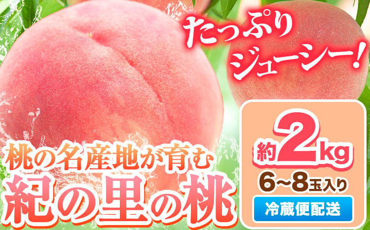 
            桃 もも 和歌山県産 約2kg 《2025年6月中旬-8月中旬頃出荷》 紀の里の桃 送料無料 6～8玉入り 旬の桃を厳選 モモ 果物 フルーツ お取り寄せ 和歌山 2025年先行予約 送料無料  白鳳 日川白鳳  なつっこ 清水白桃 川中島白桃  八旗白桃 ギフト 果物 くだもの フルーツ お取り寄せ 
          