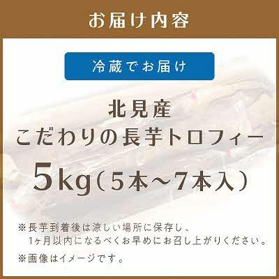 ふるさと納税 北見市 【2025年11月下旬より順次発送】北海道北見産　こだわりの長芋トロフィー5kg箱 |  | 03
