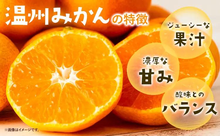 みかん ご家庭用 温州みかん 約5kg