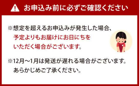 九州産 うなぎ 蒲焼 特上 2尾 計440g以上 (1尾あたり220～235g)【2026年6月発送】