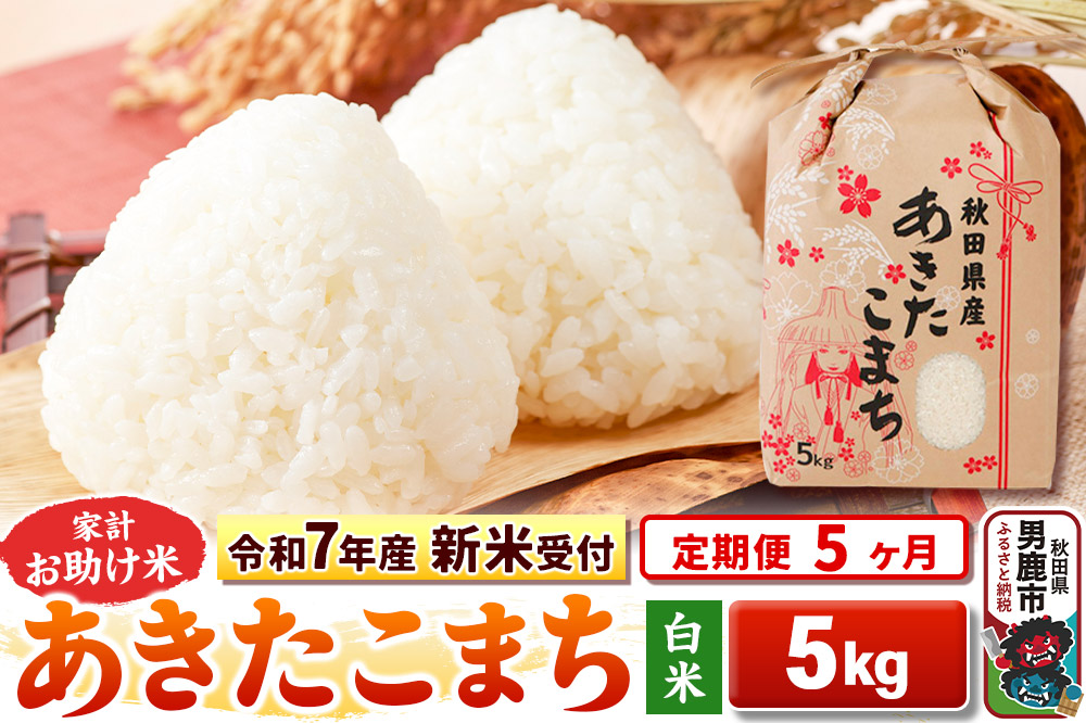 《新米》《定期便5ヶ月》【白米】 あきたこまち 5kg 令和8年産 秋田県 男鹿市 こまちライン [こまちライン あきたこまち お米 白米 精米 米どころ 秋田 秋田県…|23_kml-010505s