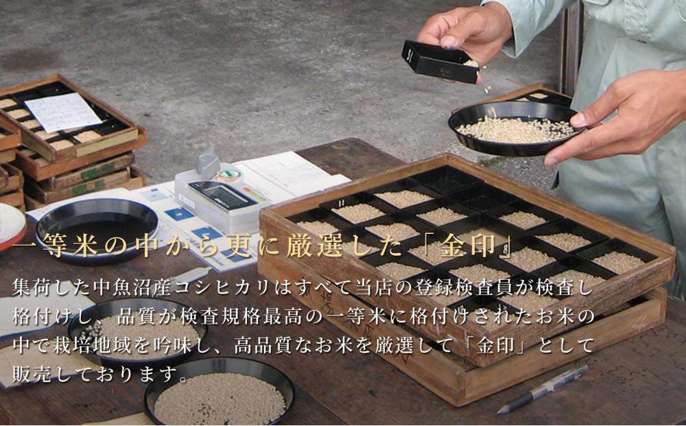 【 令和8年産米 先行予約 】 【12ヶ月定期便】令和8年産 魚沼産コシヒカリ「金印」高食味米 5kg×全12回127534-023
