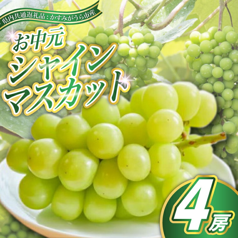 【ふるさと納税】【2025年8月より順次発送予定】お中元　シャインマスカット4房(県内共通返礼品:かすみがうら市産)【配送不可地域：離島・沖縄県】 (BR113)