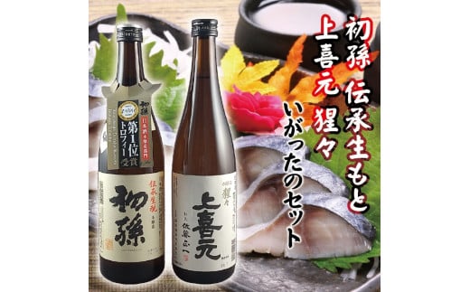 いがったのセット　計2本(各720ml×1本) SA2606