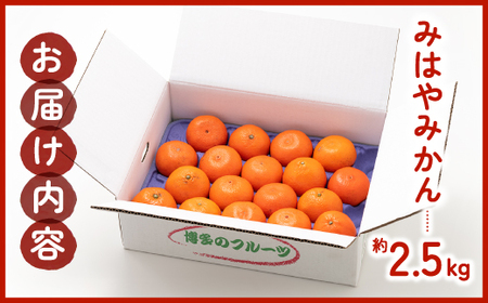 AA088.【希少品種】みはやみかん／約2.5キロ(2024年12月上旬～2025年1月末発送予定)