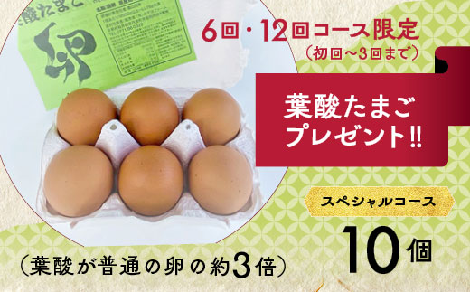 【12回定期便】旬の京野菜 毎月お届けスペシャルコース（全12回）＆『葉酸たまご』10個入り×1パック×3回分付き《野菜定期便 野菜詰め合わせ 野菜セット 京野菜 旬の野菜 新鮮野菜 有機野菜 減農薬