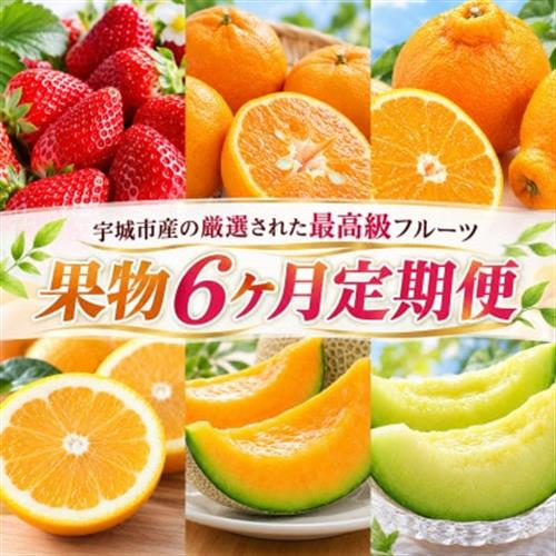 【発送月固定定期便】旬の果物6か月定期便(宇城市)全6回【配送不可地域：離島】【4067336】