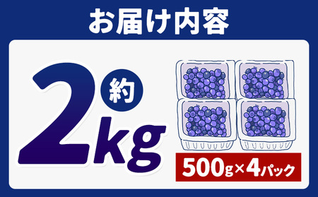 【2026年先行予約】【訳あり数量限定】ブルーベリー 計2kg (500g×4パック) ブルーベリーの宝石箱 かさおか青空ファーム 先行予約《2026年6月上旬-8月下旬頃出荷》 岡山県 笠岡市 送料
