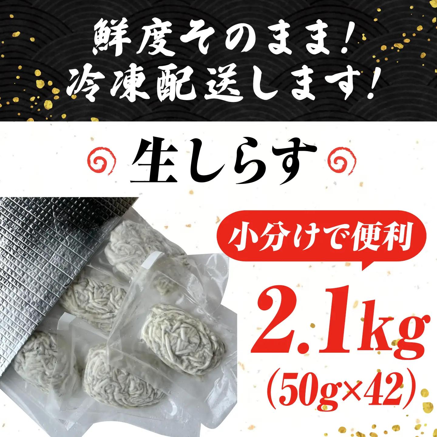 冷凍生しらす50g×42個 しらす[XCN004]