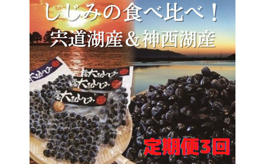 定期便 3回 しじみ 食べ比べ 宍道湖産500g (250g×2パック) ＆神西湖産750g (250g×3パック) ｜大和 しじみ 蜆 砂抜き済 冷凍 真空パック 貝 お取り寄せ グルメ kai cai 栄養 料理 調理 レシピ 蜆 島根県 出雲市