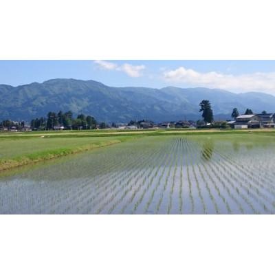 ふるさと納税 南砺市 【令和7年産】富山県産こしひかり　育(はぐくみ)白米2kg×白米3個セット《南砺の逸品》 |  | 02