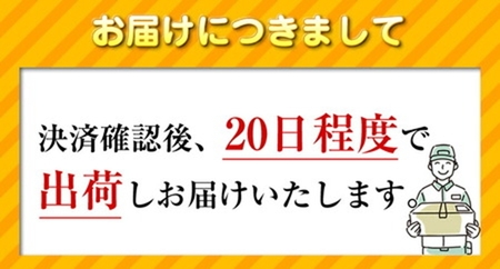 【数量限定】 iPad 2021年モデル 