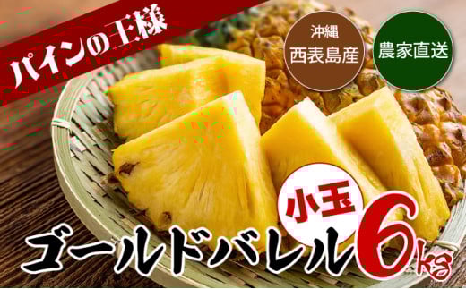 【2026年発送】ゴールドバレルたっぷり小玉セット[022-a012_2026]