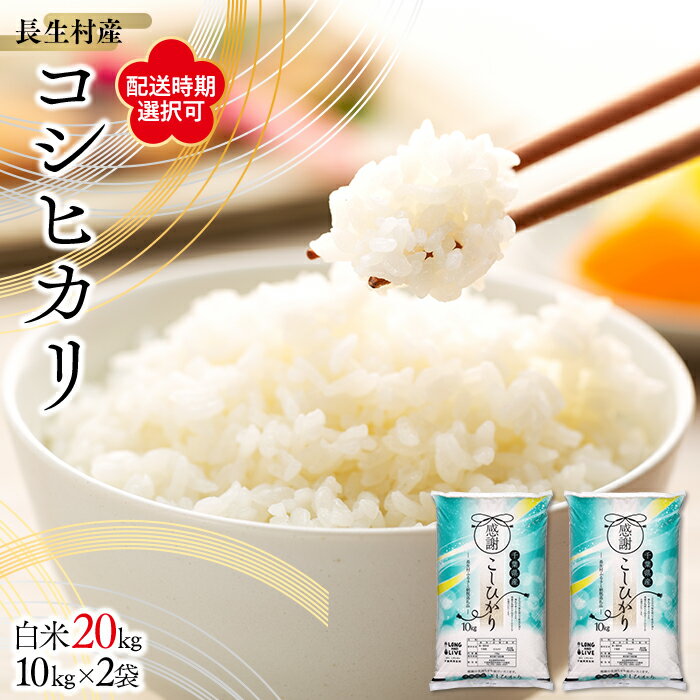 【ふるさと納税】【令和6年産】長生産コシヒカリ（白米20kg）【配送時期選択可】こしひかり コシヒカリ 白米 精米 米 20キロ ふるさと 納税 千葉県 長生村