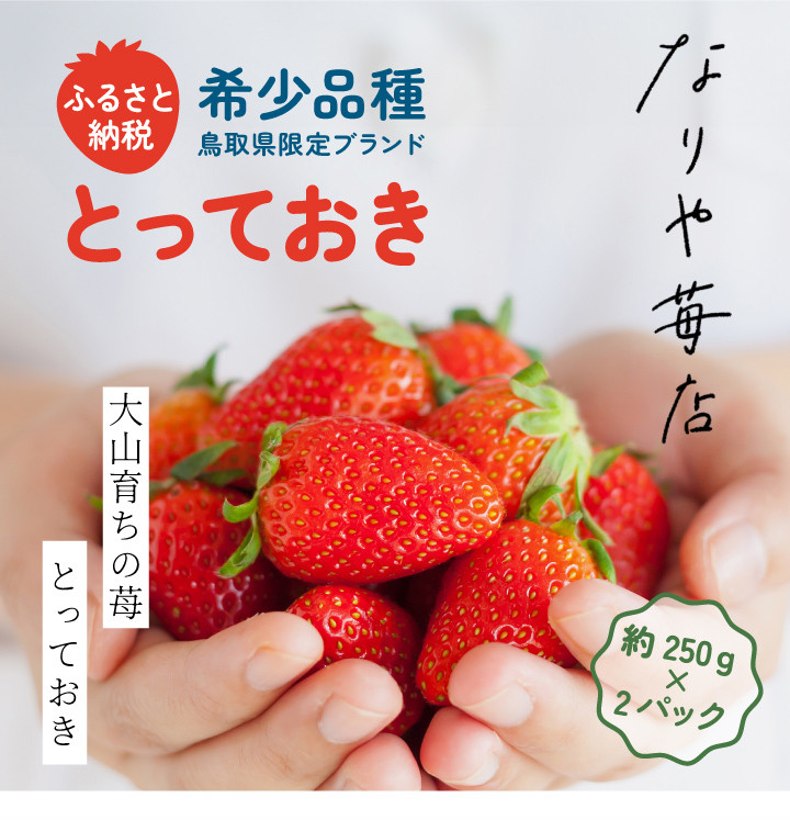 
MI-01　【希少品種・鳥取県限定ブランド】とっておき苺　いちご（約500g）【2025年1月以降発送】
