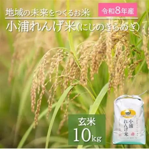 令和8年産(2026年産)新米!小浦れんげ米(にじのきらめき)【玄米】10kg【1684646】