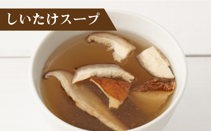 【飛魚だしのうま味】あごだしスープ 4種・長崎ちゃんぽんセット【カコイ食品】 [RAG006]