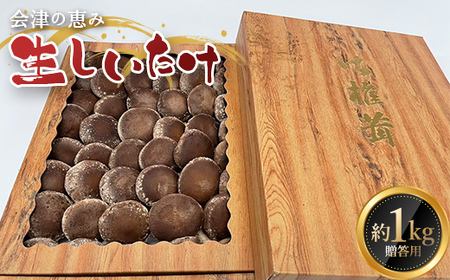 《数量限定》 2026年秋発送！贈答用 会津の恵み 生しいたけ1kg F4D-2264