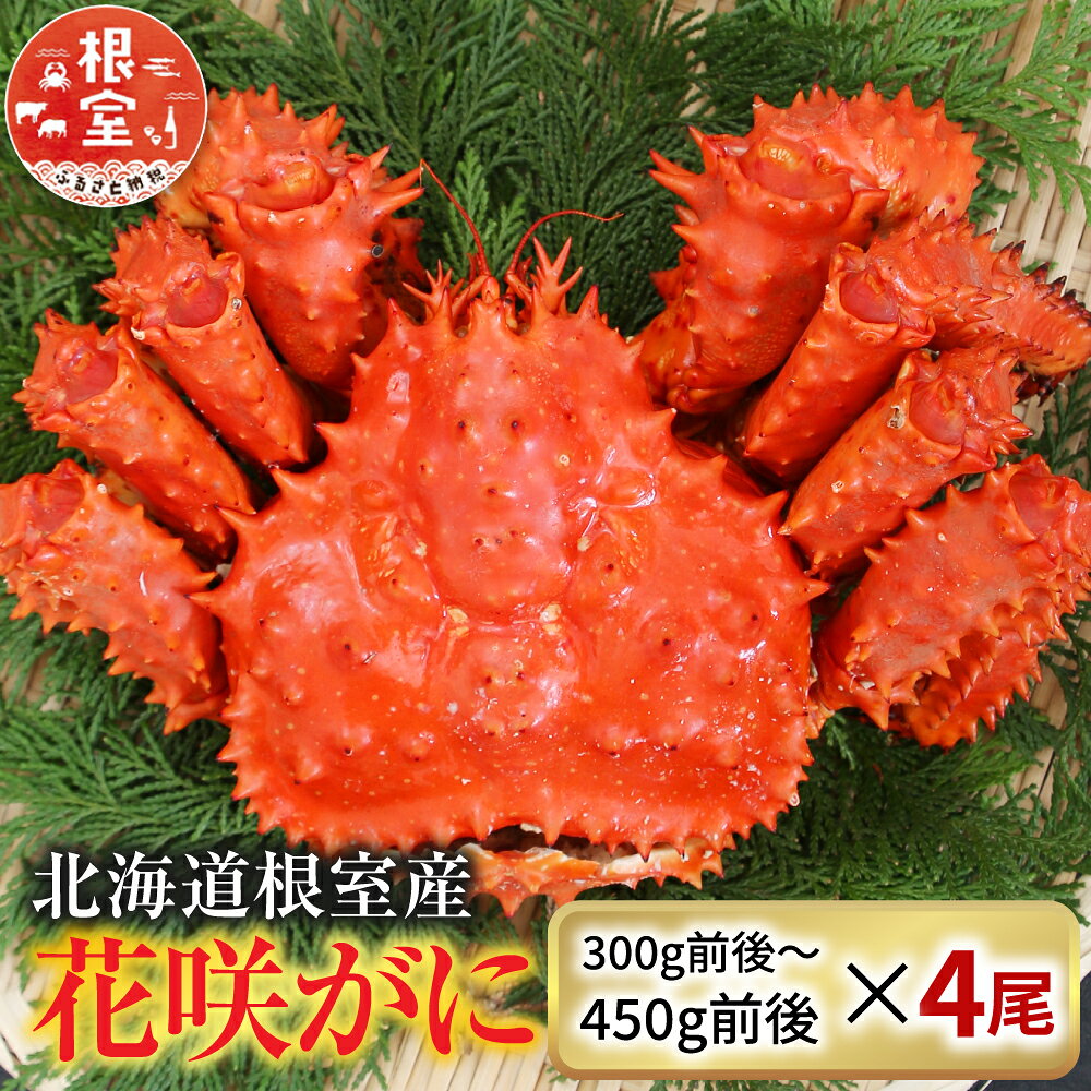 【ふるさと納税】 [北海道根室産] 花咲かに300g前後〜450g前後×4尾 花咲がに 花咲 花咲ガニ 花咲蟹 かに カニ 蟹 お取り寄せ グルメ 海鮮 北海道 根室市 ふるさと納税 A-36001