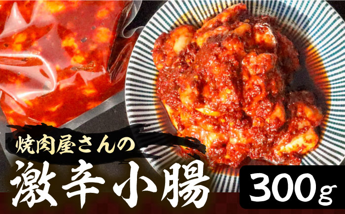 
                  焼肉屋さんの超人気鉄板メニュー 激辛小腸【平壌屋】《豊前市》肉 焼肉 お肉 BBQ バーベキュー [VAH041]
                