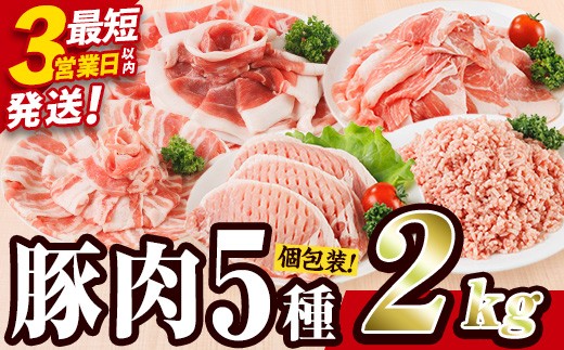 
                  ＼3営業日以内発送／ ＜1回配送＞ 豚肉 バラエティーパック (合計2kg)  小分け 切り落とし しゃぶしゃぶ ロース こま切れ バラ 200g 250g 300g 5種 ミンチ スピード発送 発送月が選べる【BD320】【西日本畜産】
                