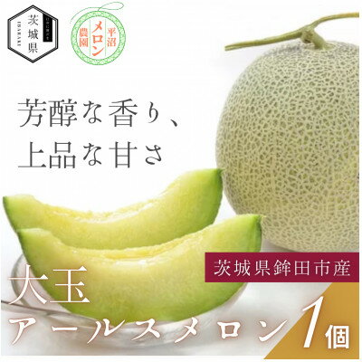 【ふるさと納税】【優秀賞受賞農家直送】鉾田市産 アールスメロン 2.0kg以上×1玉(※26年8月～発送予定)【配送不可地域：離島・沖縄県】【1644495】