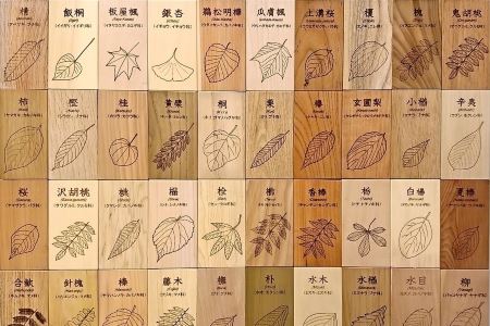 広葉樹見本帳「森の響」(広葉樹40種類のサンプル板 60×110mm（板）40枚)学び 教材 インテリア 木製 ギフト【50-1】