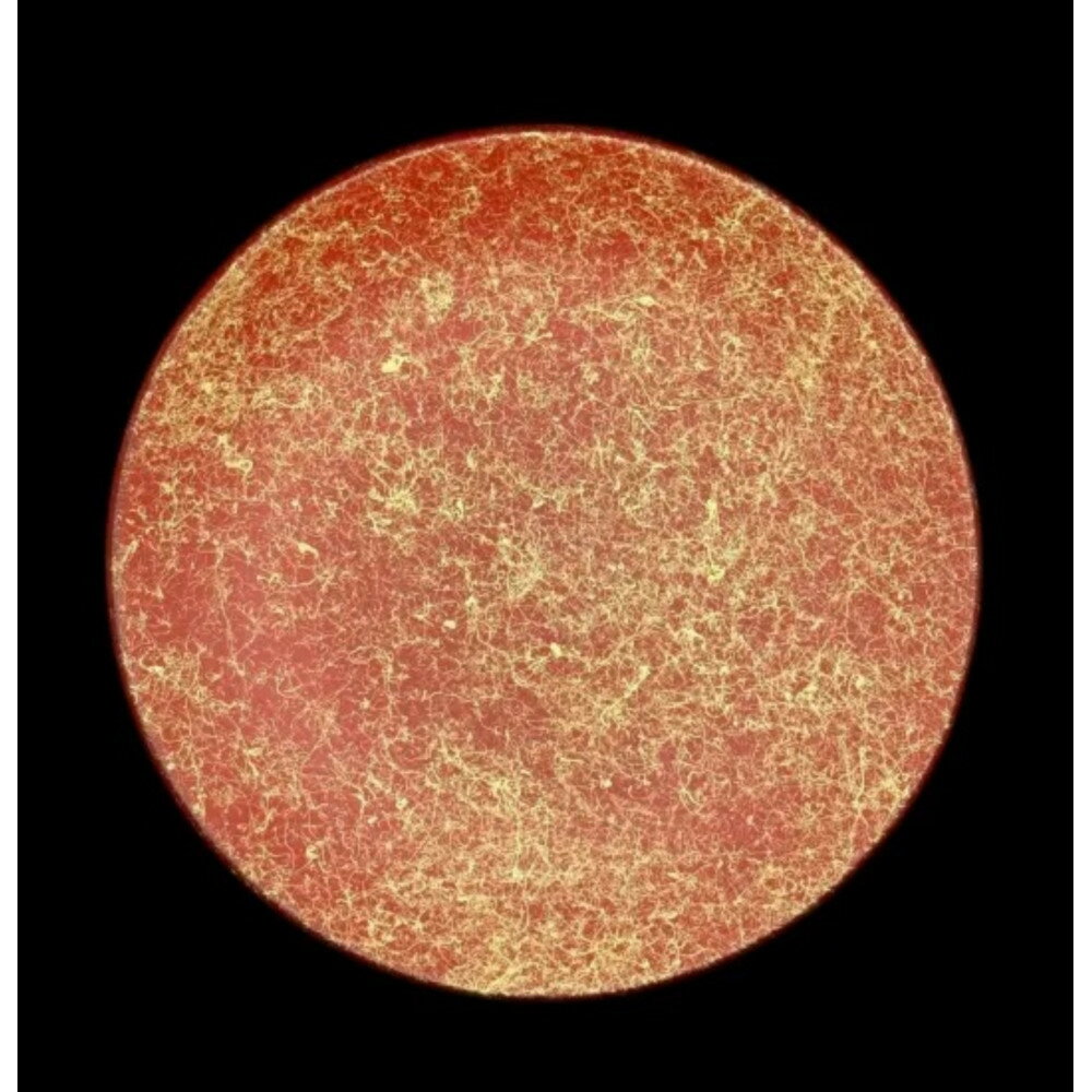 【ふるさと納税】【選べる8色】フラットプレート（D）乱糸（マット仕上げ） | 工芸品クラフト 民芸 人気 おすすめ 送料無料 ギフト