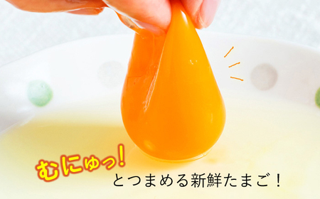 平飼い もみじ の 高級 たまご 40個 ※12月発送なし【野中鶏卵】[OAC013]