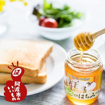 ふるさと納税 阿波市 【阿波産】”天然”影山のはちみつ　600g