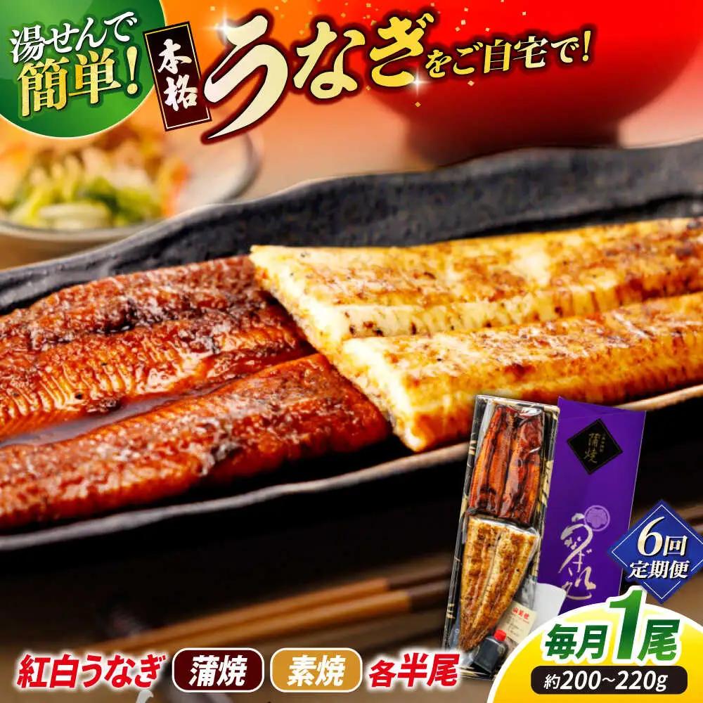 【6回定期便】うなぎ老舗専門店のパリっとふっくら 紅白うなぎ 蒲焼・素焼半身　(真空パック/秘伝のタレ・藻塩付き) 島根県松江市/株式会社山美世商会[ALDC017]