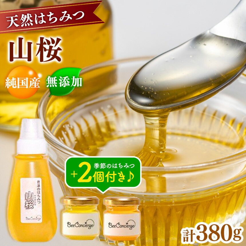 【ふるさと納税】純国産 国産 無添加 Bee concierge 山桜はちみつ 260g 1本 プラスチックチューブ入り & 季節のはちみつセット 60g×2個 | （アカシア 雪見草 カラスザンショウ どんぐり［シイ］のうち2個） ビーコンシェルジュ 単花はちみつ専門 イチオシ きみつ 君津 千葉