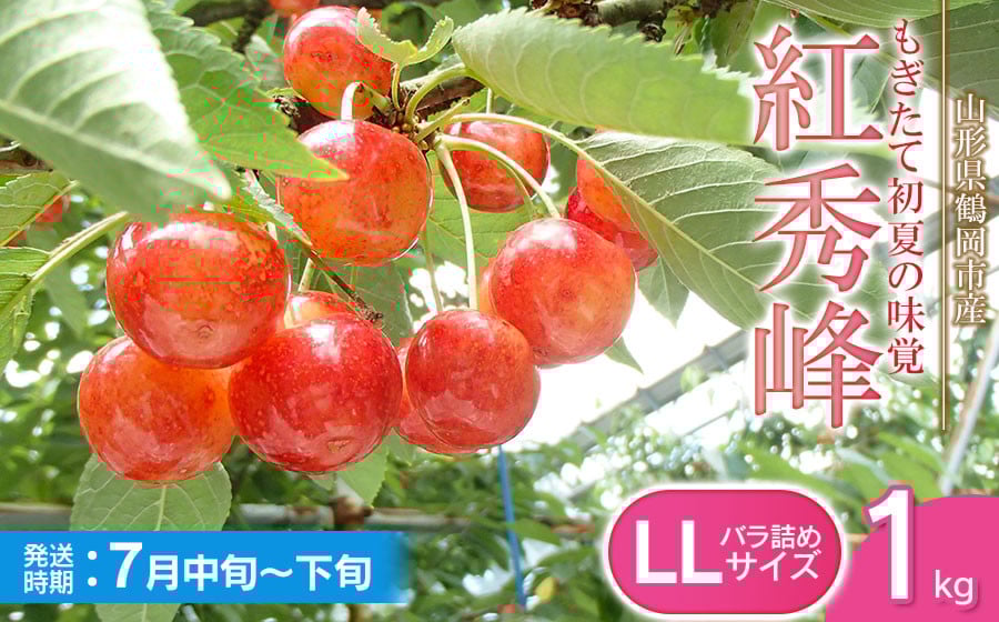 
            【令和8年産先行予約】紅秀峰 バラ詰め LLサイズ 1kg　もぎたて「初夏の味覚」さくらんぼ　丸忠農園
          
