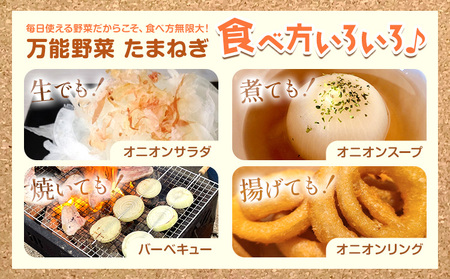 電子技法栽培たまねぎ2種セット 合計約10kg 《10月上旬から順次出荷》橋枝物産　北海道　浦幌町