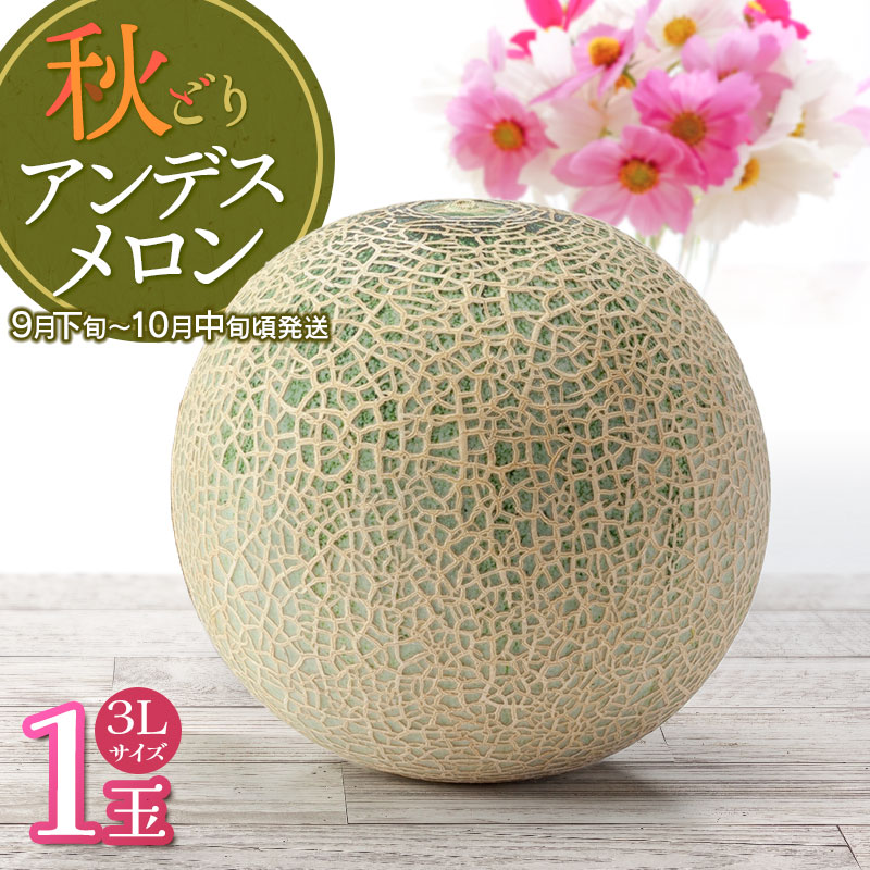 【ふるさと納税】【令和7年産先行予約】 鶴岡産 秋どりアンデスメロン【1玉（3Lサイズ）】 小林ファーム | 山形県 鶴岡市 庄内 砂丘 返礼品 フルーツ 果物 くだもの お取り寄せグルメ めろん 西瓜 特産品 2025年産